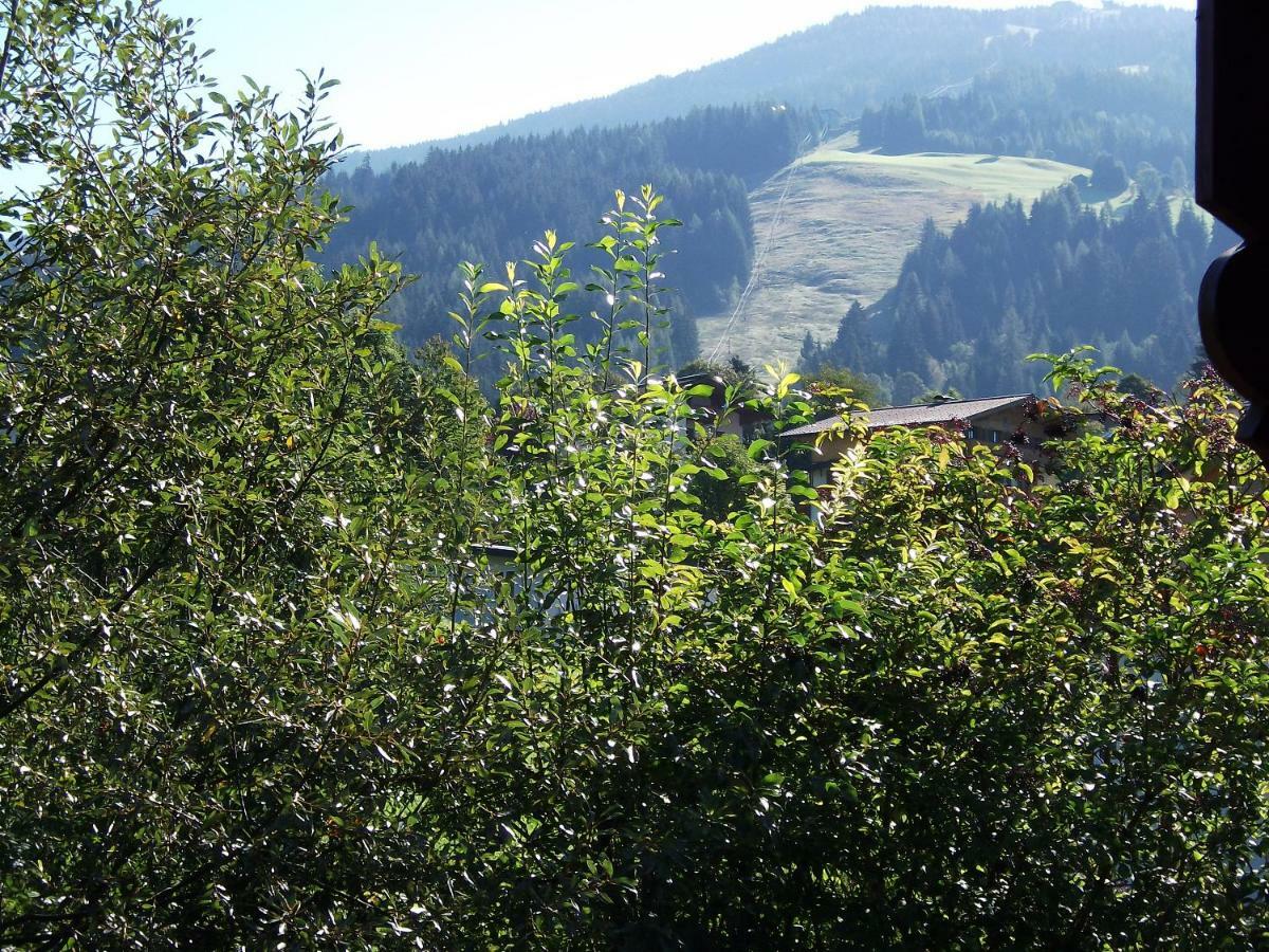 Landhaus Michael Wagrain Extérieur photo